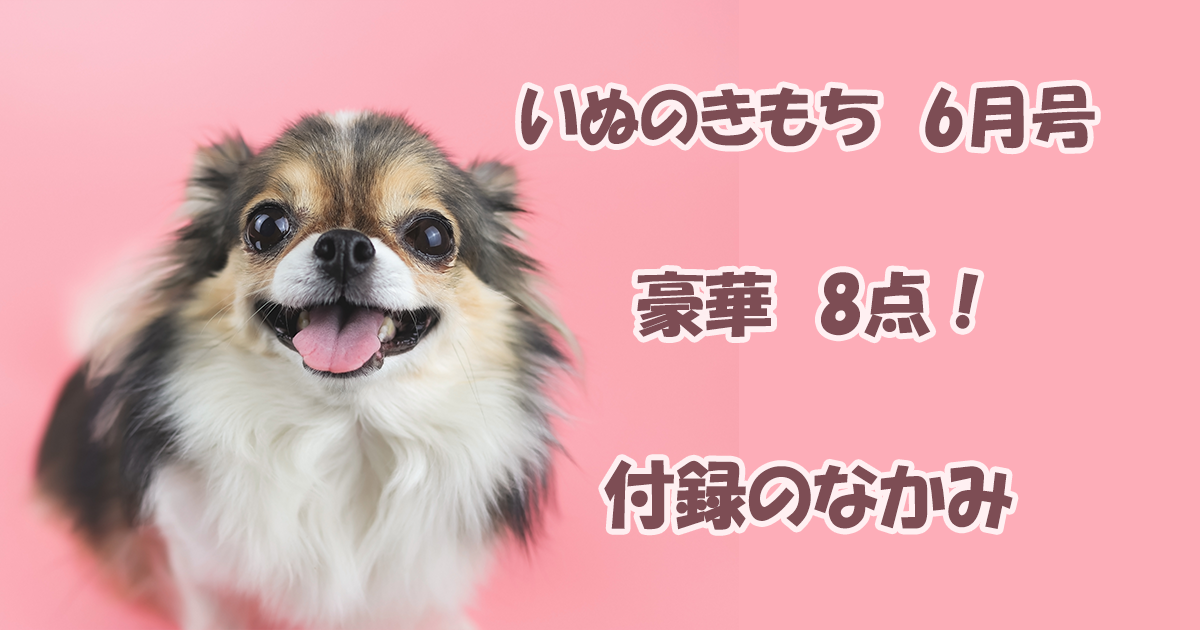 いぬのきもち６月号　豪華８点　付録